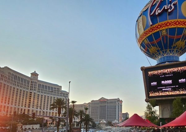 Eshibitions in the United states